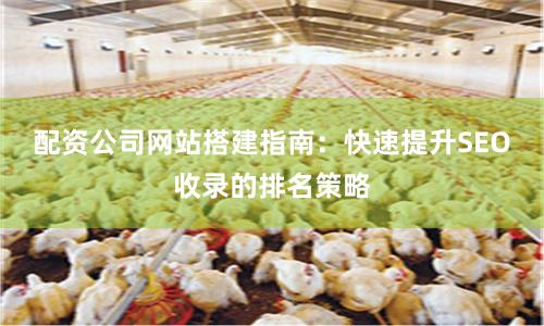 配资公司网站搭建指南：快速提升SEO收录的排名策略